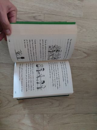 Diario de Greg 3
