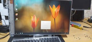 PANTALLA LCD 17"  Philips LP171WX2 (TL) (B1) WXGA+