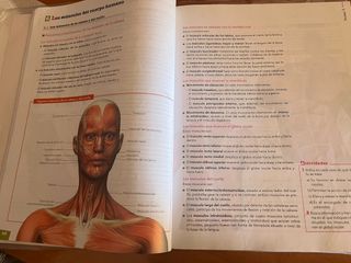 ANATOMIA PRIMERO BACHILLERATO
