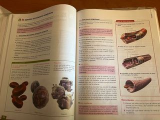 ANATOMIA PRIMERO BACHILLERATO