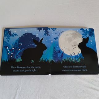 Libro en inglés buenas noches con luz