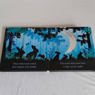 Libro en inglés buenas noches con luz
