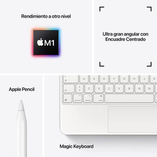 Apple iPad Pro 11 1TB M1 2021 WiFi PRECINTADO