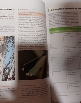 Biología y geología 1 bachillerato Anaya