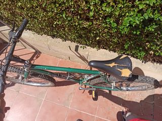 Bicicleta de montaña