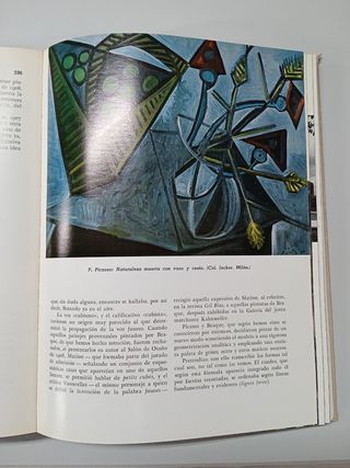 HISTORIA DEL ARTE de José Pijoan. Editorial Salvat