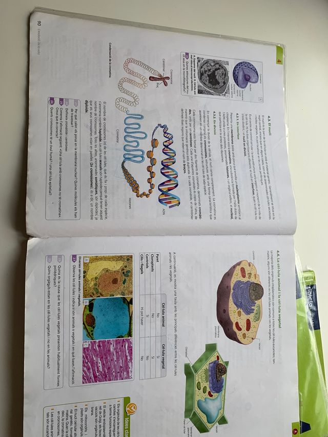 libros texto biología 4 ESO Oxford