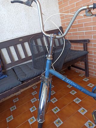 BH 20" Clásica adultos 