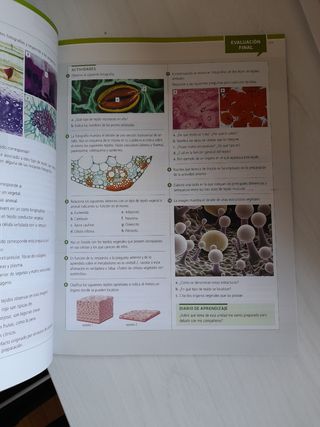 Libros Biología y Geología 1° bachillerato