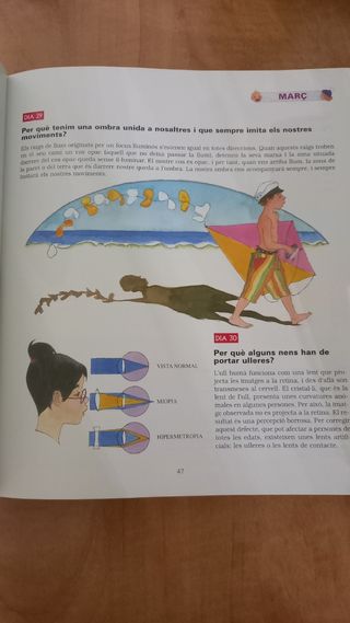 Libro 365 preguntes i respostes