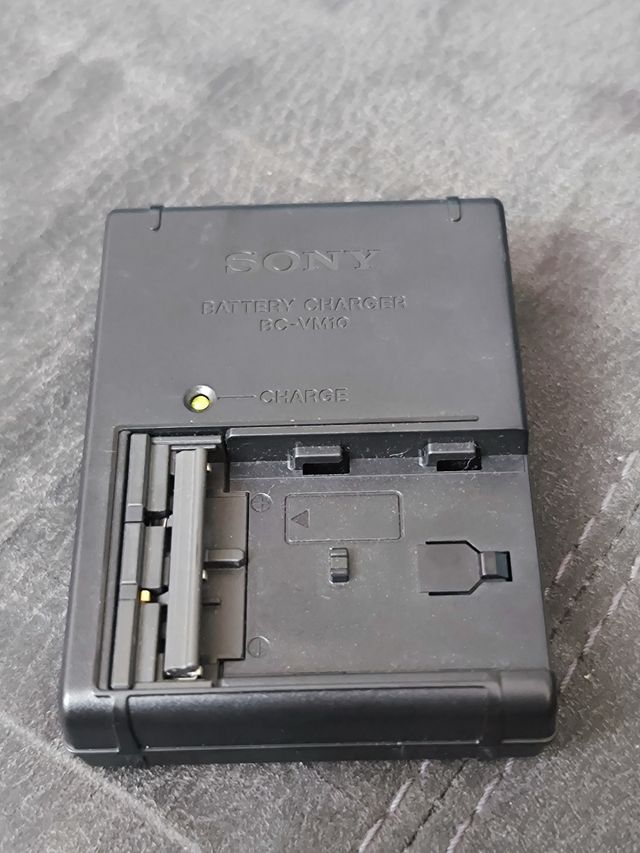 Cargador Sony BC-VM10
