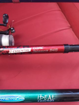 Cañas de pescar telescópicas con carr