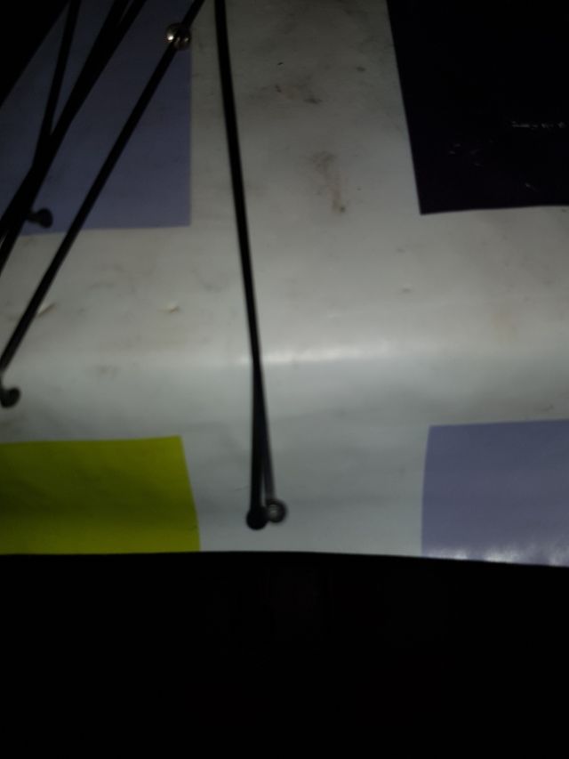 Buje delantero + 20 radios plano