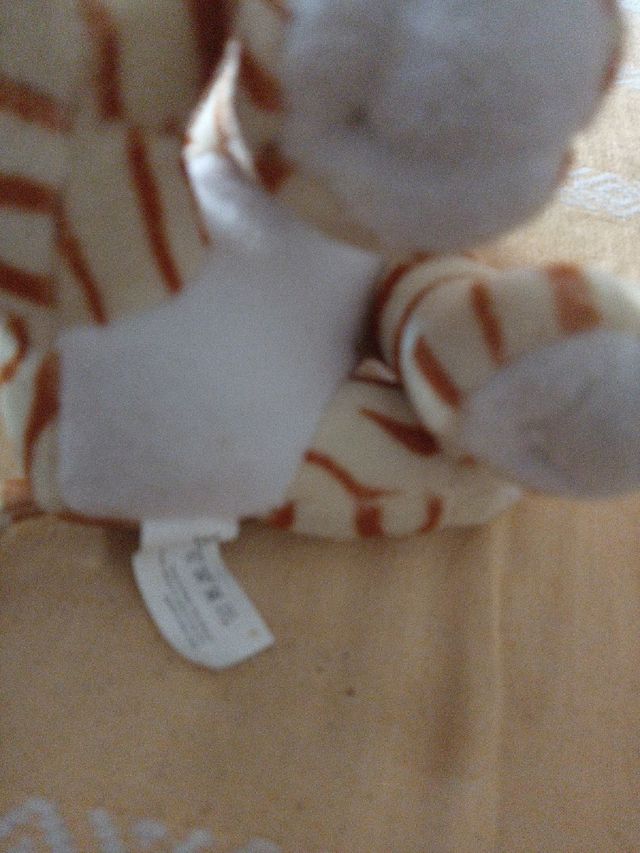 Peluche tigrotto 