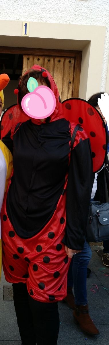 Disfraz adulto mariquita