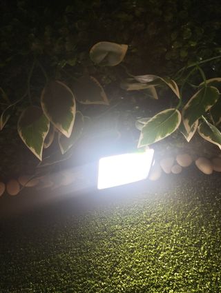 Pack Micrófono-foco para cámara Digital