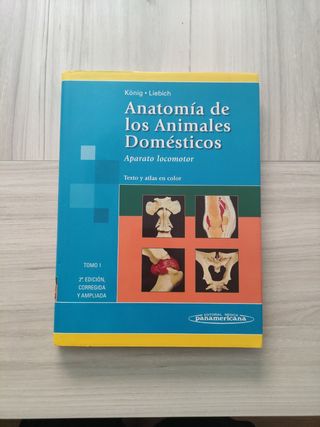 Anatomía de los Animales Domésticos 