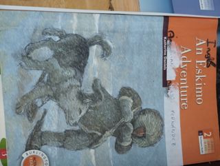 Lote de libros de inglés