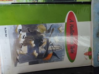 Lote de libros de inglés