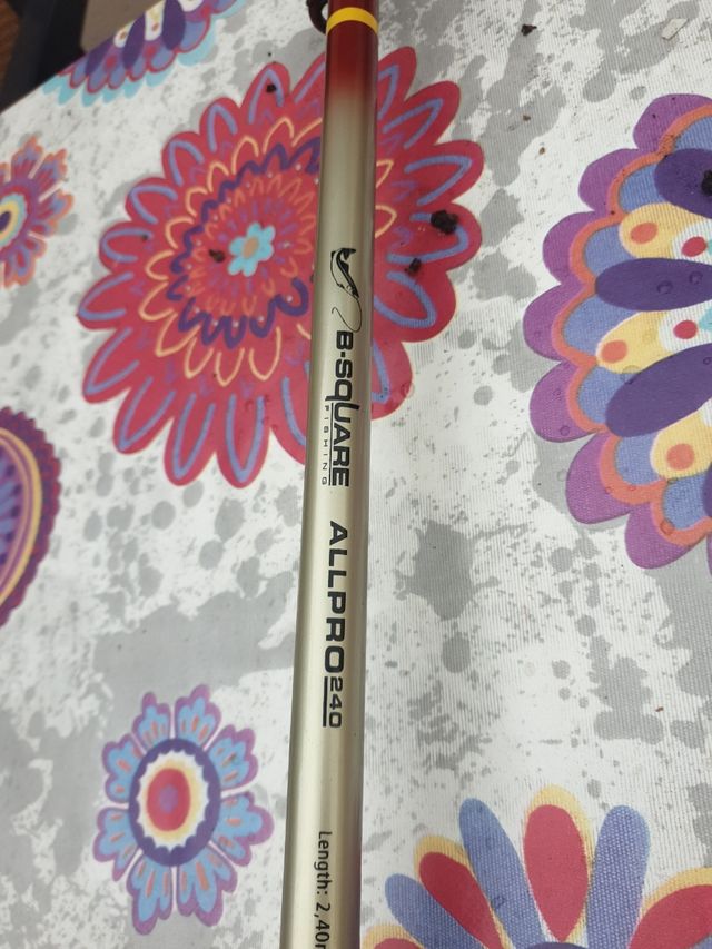 Cañas telescópicas con carrete