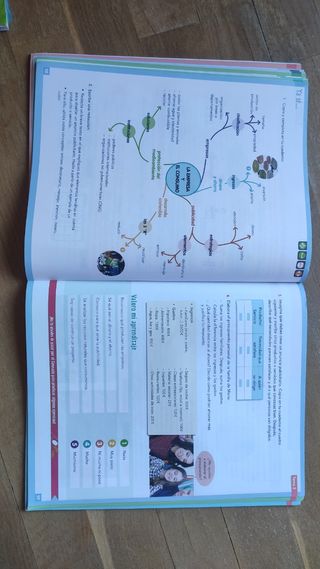 libro sociales 5 Primaria Vicens Vives Madrid