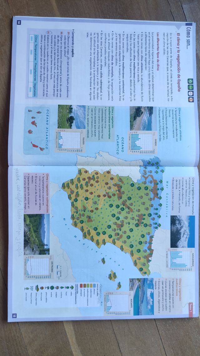 Libro de sociales 6 Primaria Vicens Vives