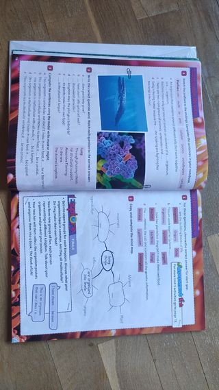 Libro Natural Sciences 5 Primaria Cambridge