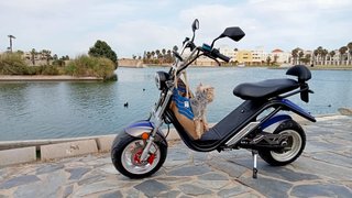 Citycoco e-thor matriculada