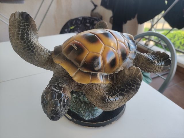 tortuga republica  Dominicana de allí