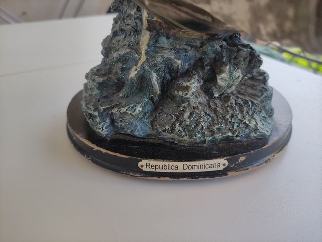 tortuga republica  Dominicana de allí