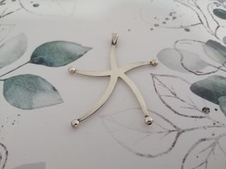 Colgante estrella de plata.