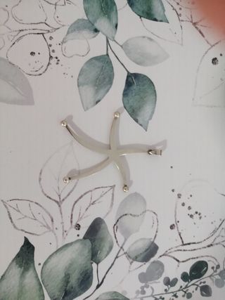 Colgante estrella de plata.