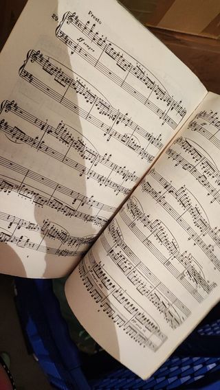 Bertini Estudios para piano