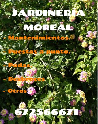 Jardinero