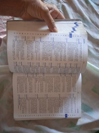 diccionario Anaya