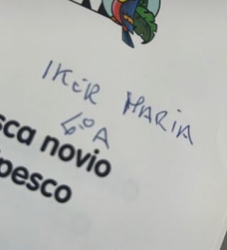 libro “se busca novio principesco”