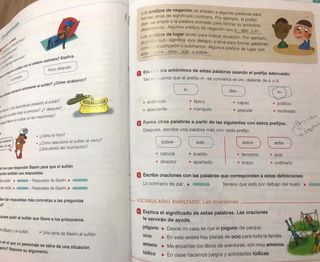 Lote libros 4 primaria, lengua castellana