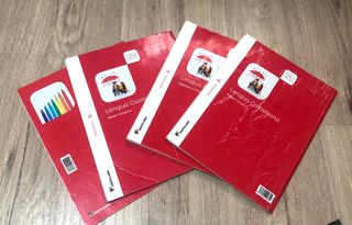 Lote libros 4 primaria, lengua castellana