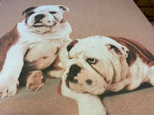 Funda nordica preciosa.