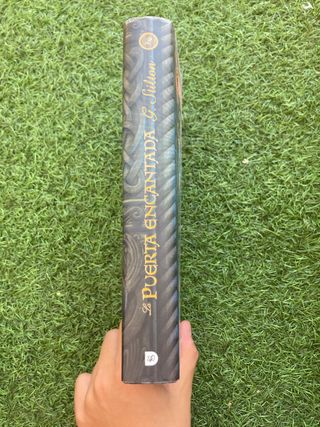 La puerta encantada GERÓNIMO STILTON