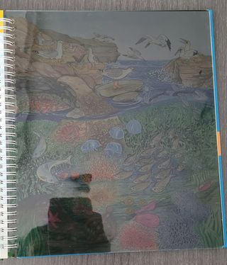 Libro en rumano con linterna
