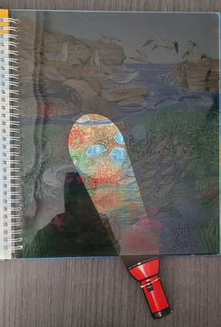 Libro en rumano con linterna