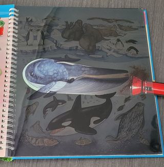 Libro en rumano con linterna