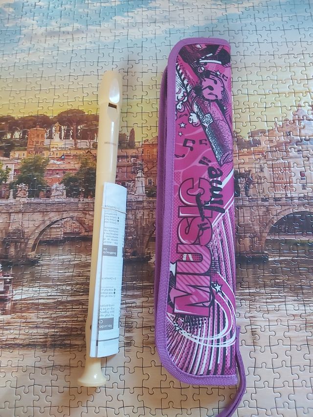 Flauta y funda 
