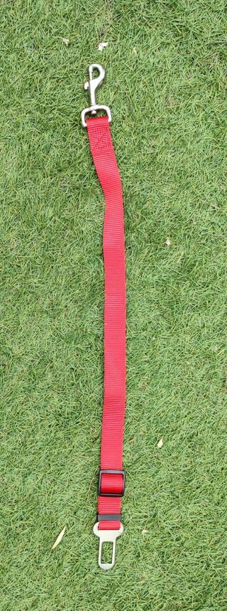 Cinturón seguridad coche para perros