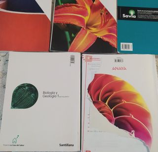 Libros de texto para bachillerato vol 1