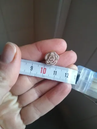 Juego pendientes y anillo plata "Rosa de abril"