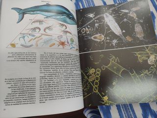 Felix Rodríguez - Fauna Mundial