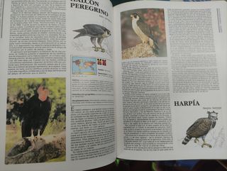 Felix Rodríguez - Fauna Mundial