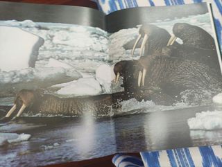 Felix Rodríguez - Fauna Mundial